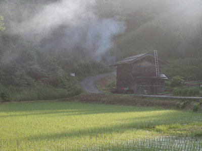 のどかな田舎の朝の風景