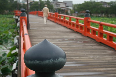 散歩する人が多い高田城址公園