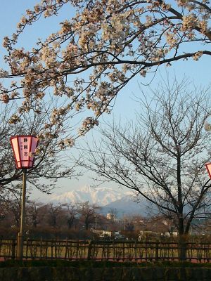 妙高山とサクラ20070407