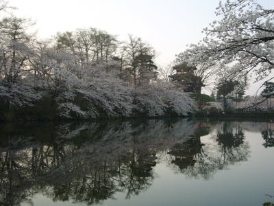 高田城址公園の桜サクラさくら20070412