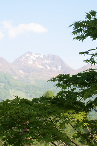 妙高山と新緑