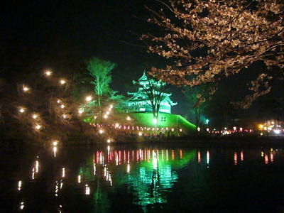 高田城と桜のライトアップ20070407